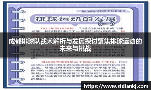 成都排球队战术解析与发展探讨聚焦排球运动的未来与挑战