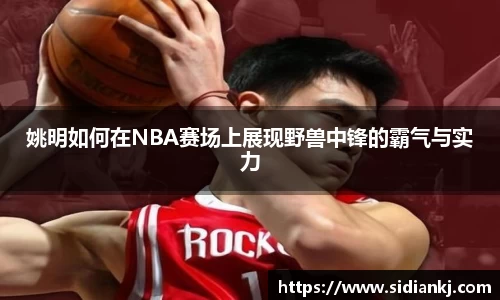 姚明如何在NBA赛场上展现野兽中锋的霸气与实力