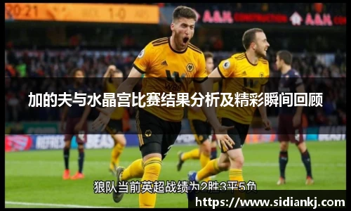 加的夫与水晶宫比赛结果分析及精彩瞬间回顾