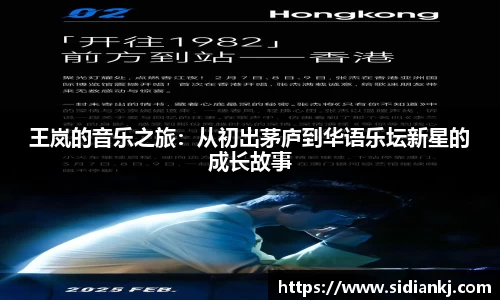 王岚的音乐之旅：从初出茅庐到华语乐坛新星的成长故事