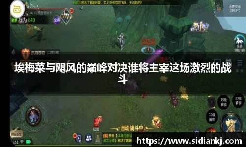 埃梅菜与飓风的巅峰对决谁将主宰这场激烈的战斗