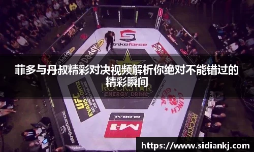 菲多与丹叔精彩对决视频解析你绝对不能错过的精彩瞬间