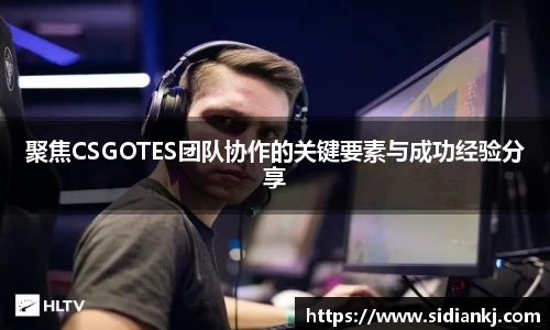 聚焦CSGOTES团队协作的关键要素与成功经验分享