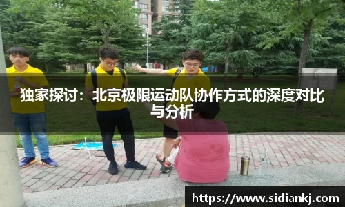 独家探讨：北京极限运动队协作方式的深度对比与分析